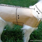 modèle couture panier chien